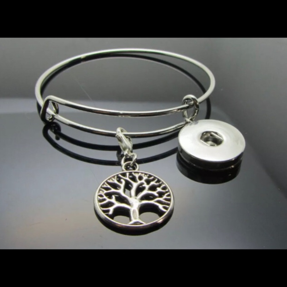 3/$15 Interchangeable charm bracelet with 2 charms